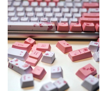 Other Keyboards & Mice